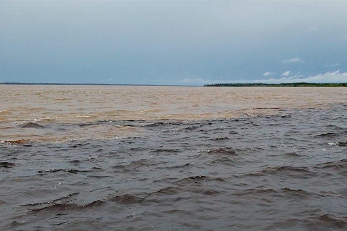 Venha viver o mais completo passeio na Amazônia