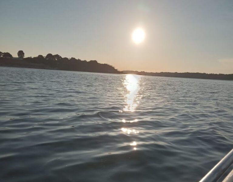 Novo Airão: um Paraíso de Rios, Florestas e Aventuras