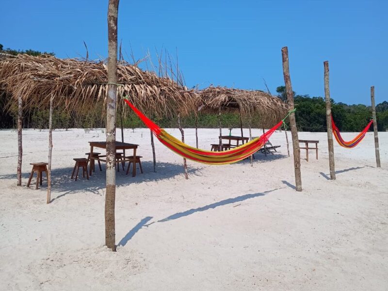 Novo Airão: um Paraíso de Rios, Florestas e Aventuras