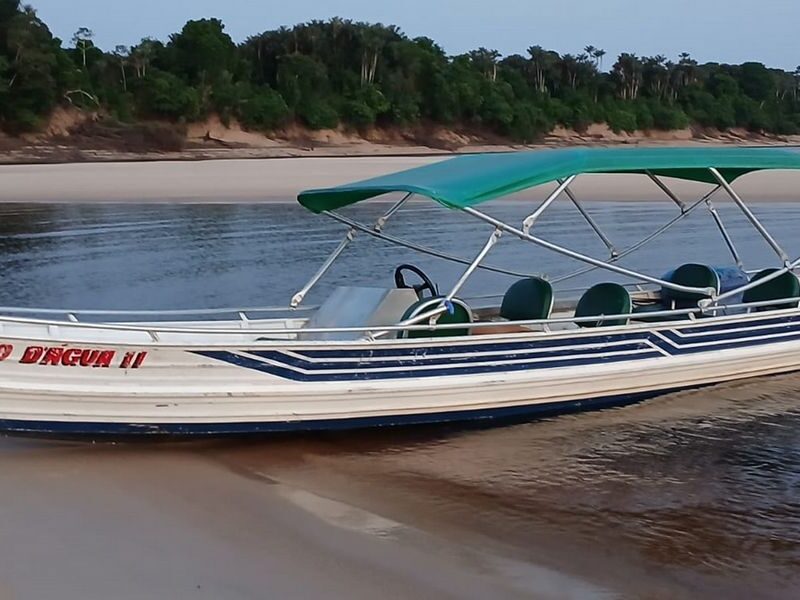 Novo Airão: um Paraíso de Rios, Florestas e Aventuras