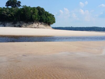 Novo Airão: um Paraíso de Rios, Florestas e Aventuras